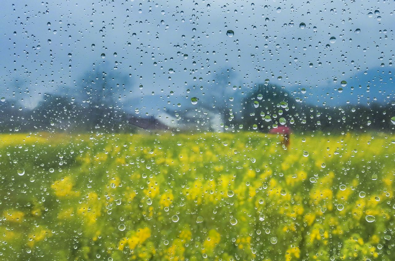 春雨隨想