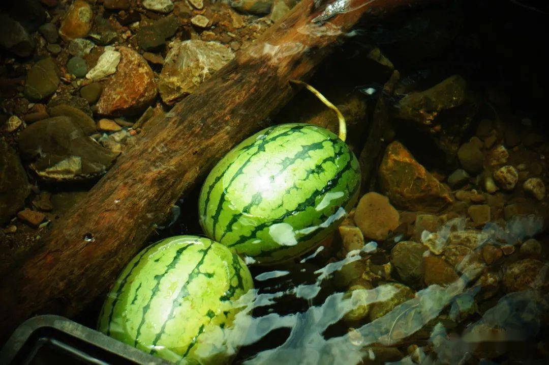 井水鎮(zhèn)西瓜，才是夏天的味道