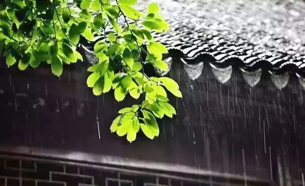 盛夏關(guān)中品雨