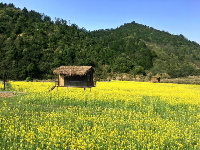 田間小木屋