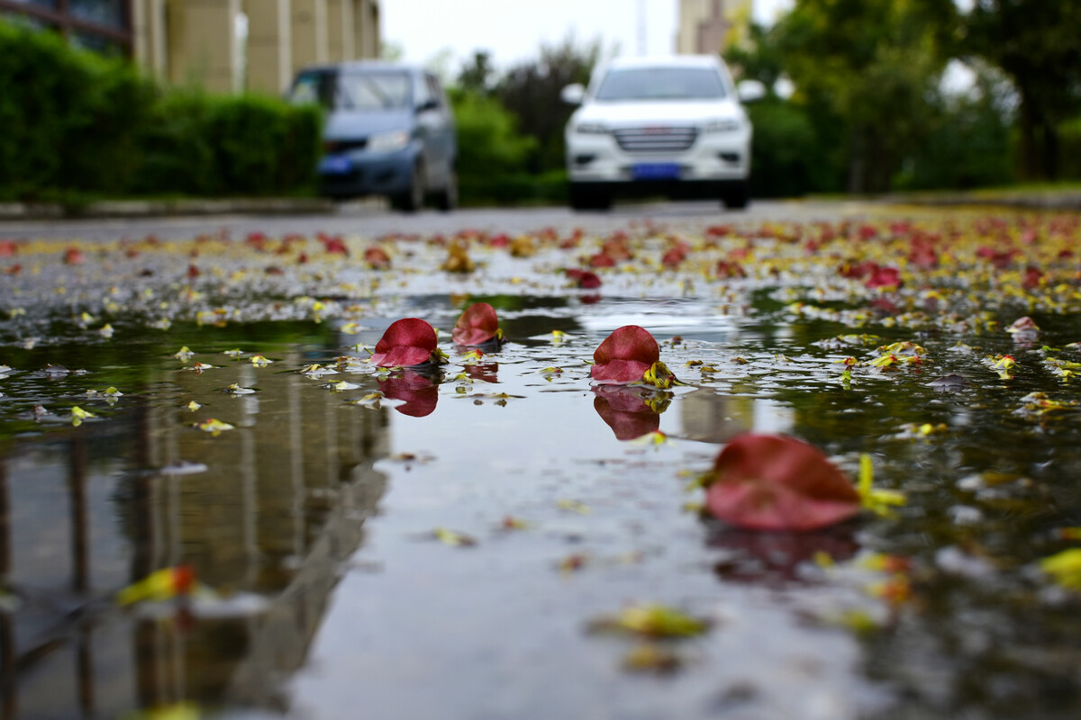 秋雨的黃昏