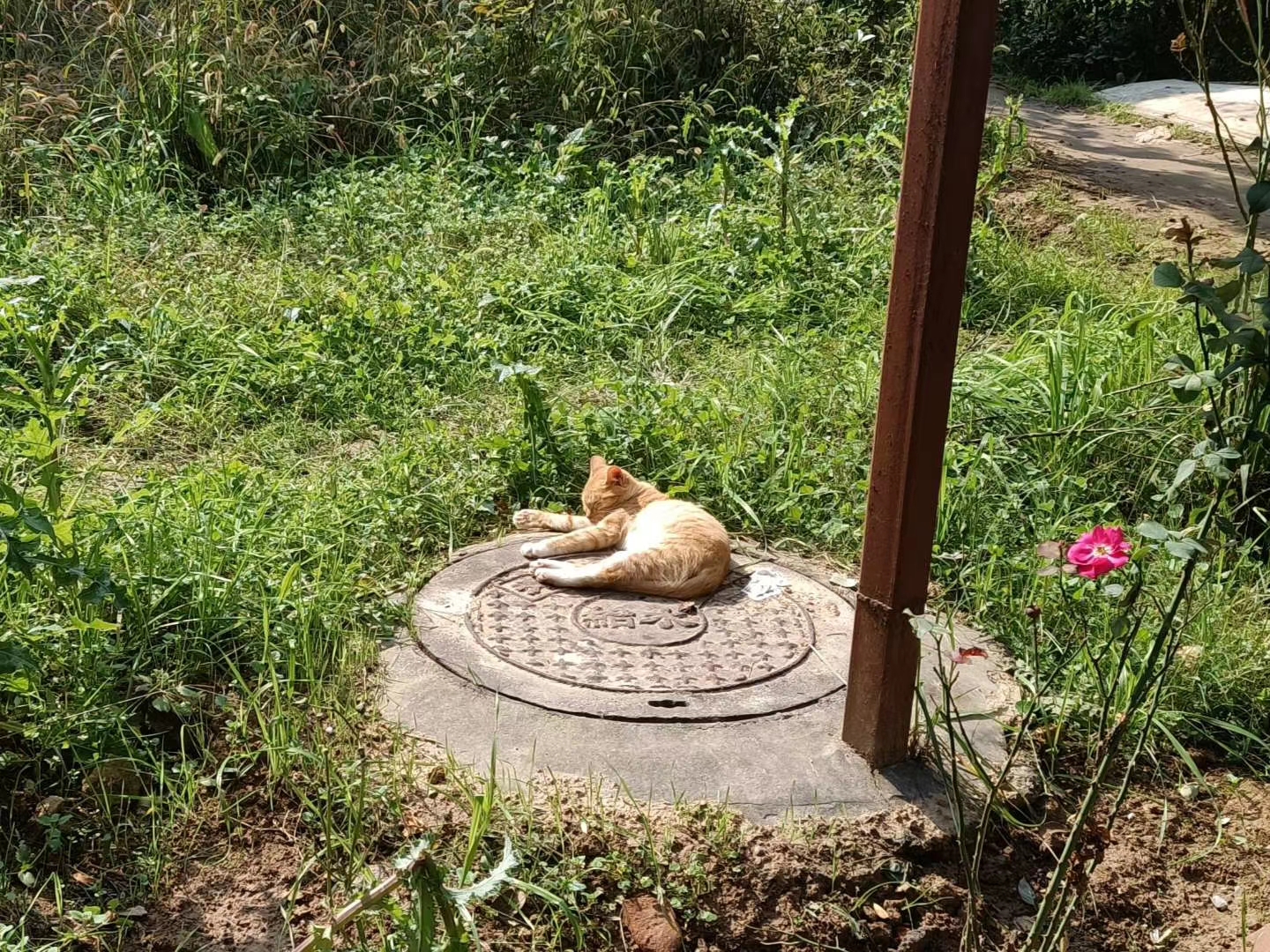 不期而遇的小美好