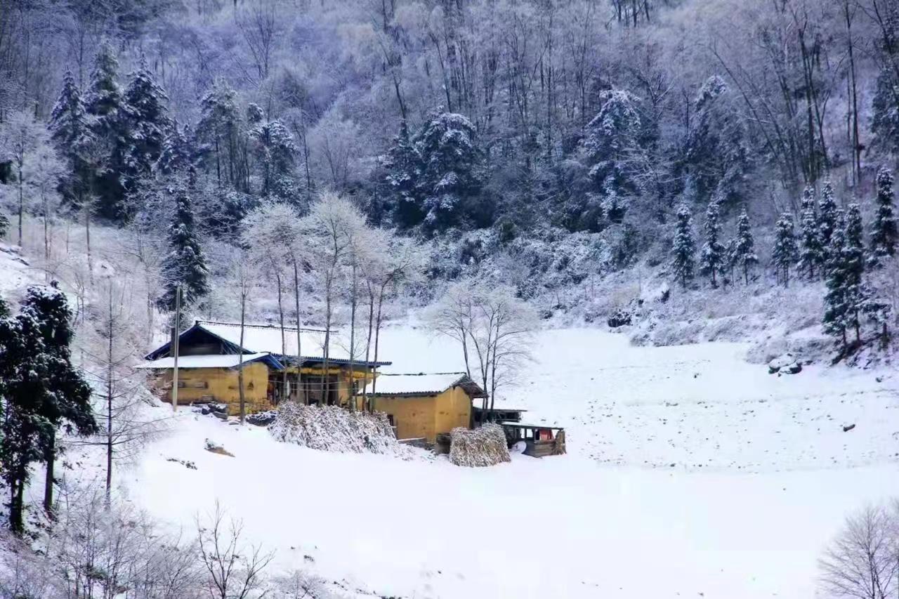 立春迎雪，歲時(shí)飛花