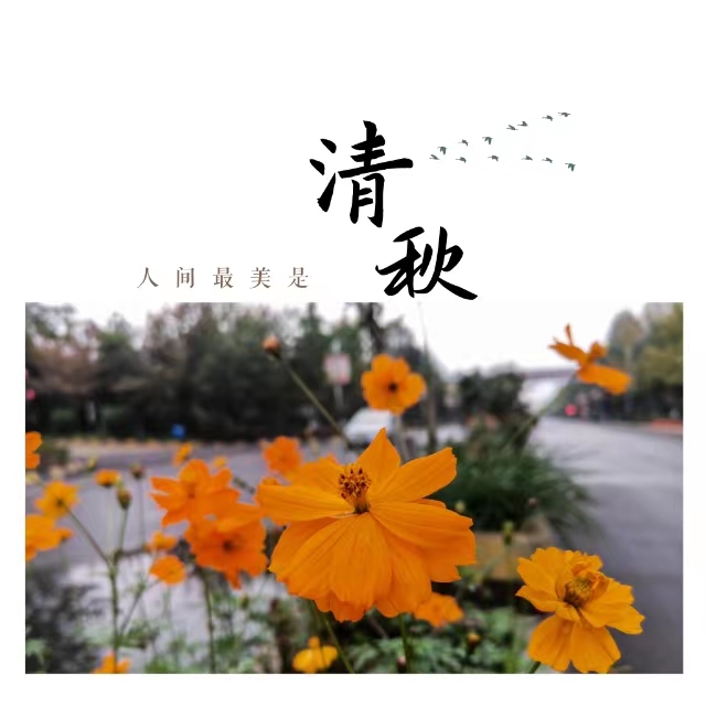 入眼皆是畫(huà)！打卡十里鋼城“花樣”秋天