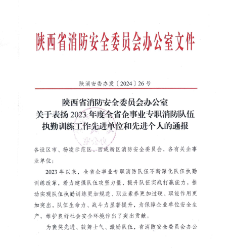 喜訊！漢鋼公司應(yīng)急救援中心榮獲多項殊榮