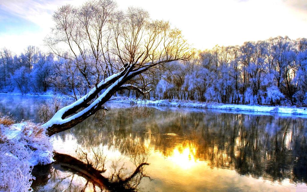 【鋼城文苑】晚來天欲雪