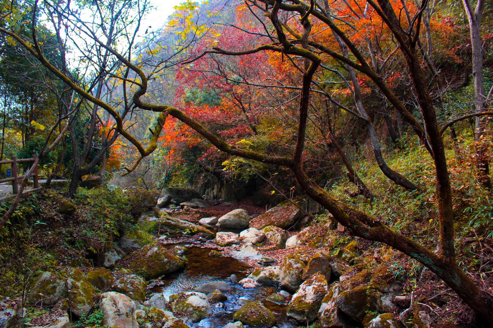 【鋼城文苑】雨游云霧山