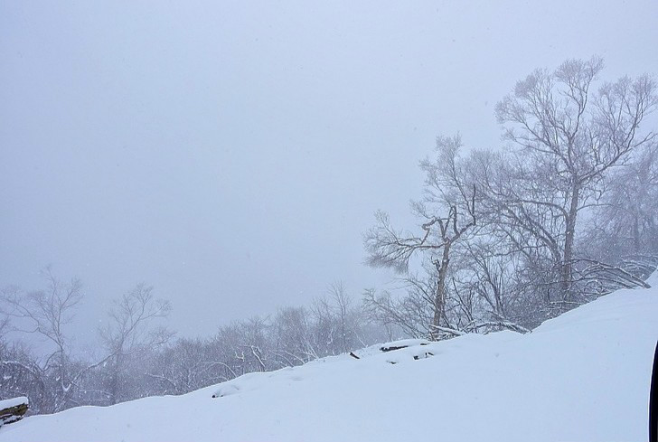 【鋼城文苑】游龍頭山