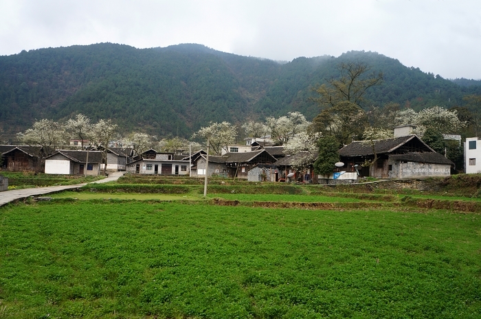 【散文】老村莊