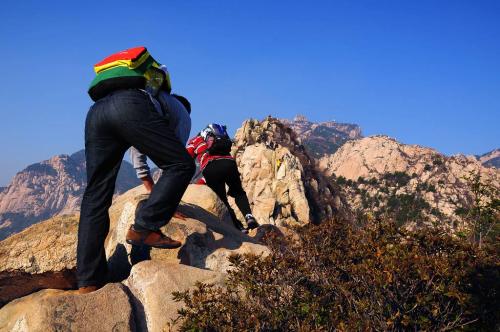 從定軍山到牛背梁，一“山”更比一“山”高