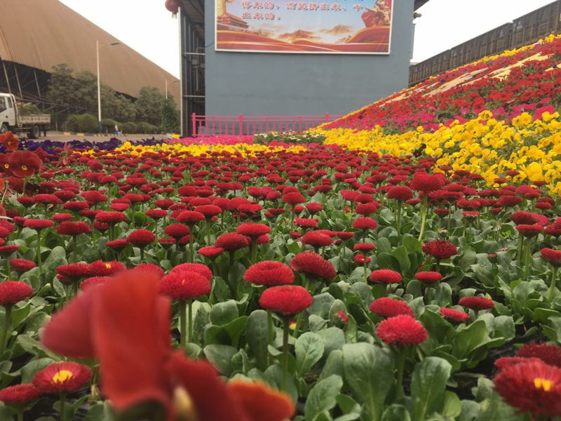 漫步在鋼城花園……