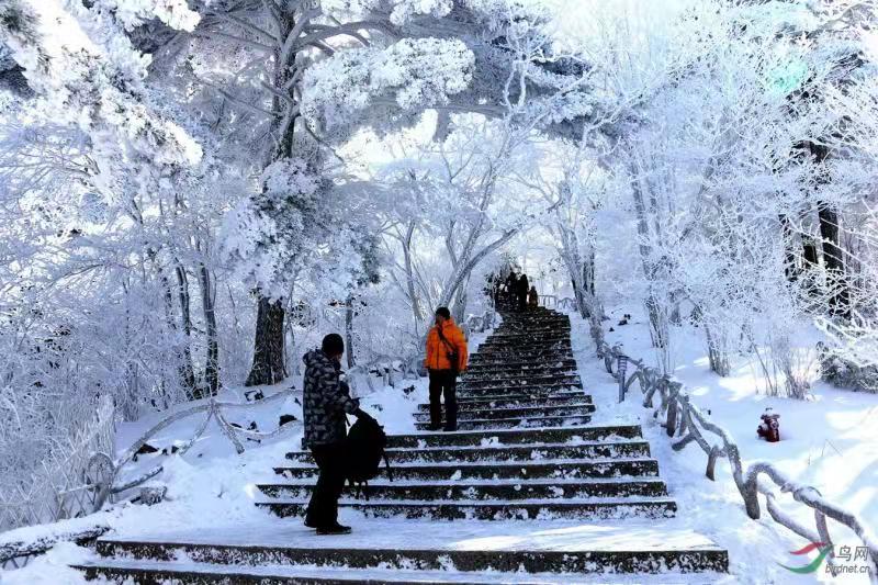 冬雪紛飛