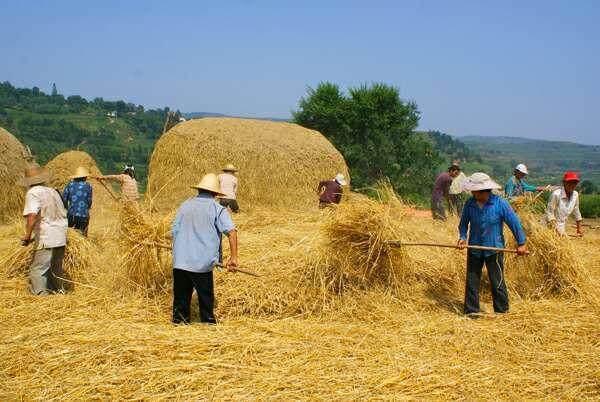 【鋼城文苑】夏日印象